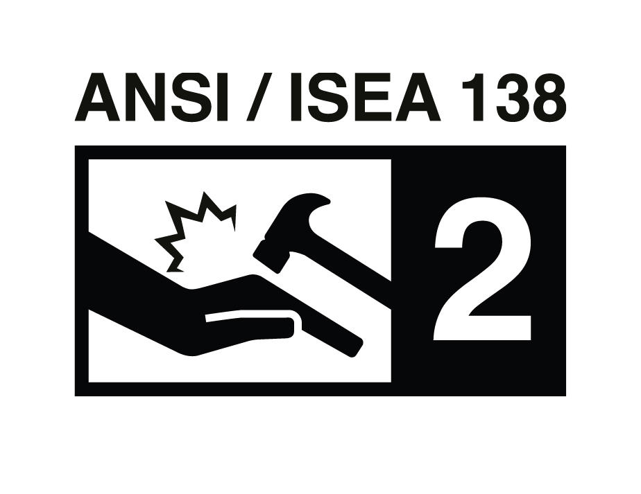 ANSI/ISEA 138